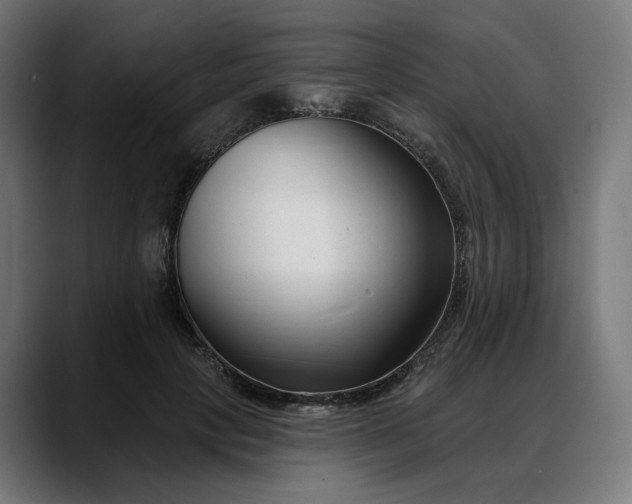 X0000088040649200705251303