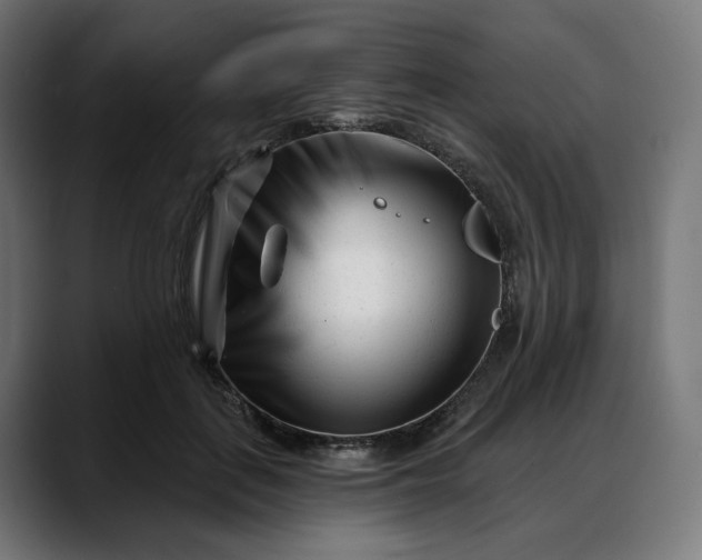 X0000088040651200705251303