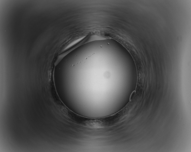 X0000088040652200705251303