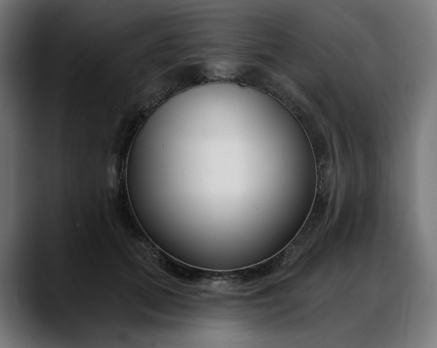 X0000088040655200705251303