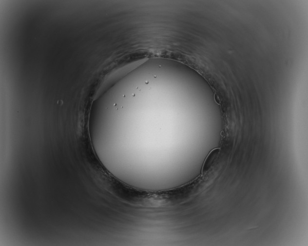 X0000088040656200705251303