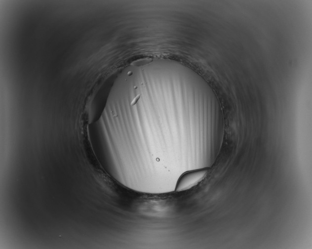 X0000088040658200705251303