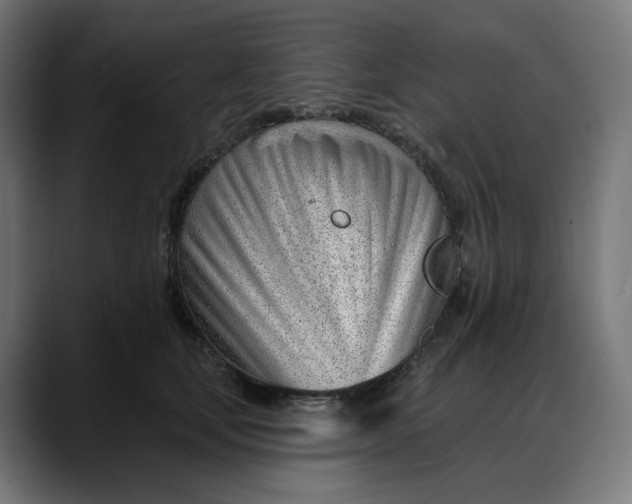 X0000088040659200705251303