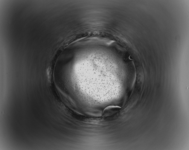 X0000088040661200705251303