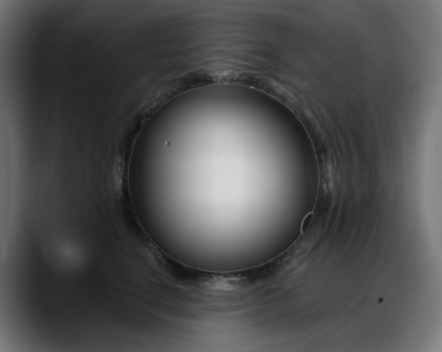 X0000088040664200705251303