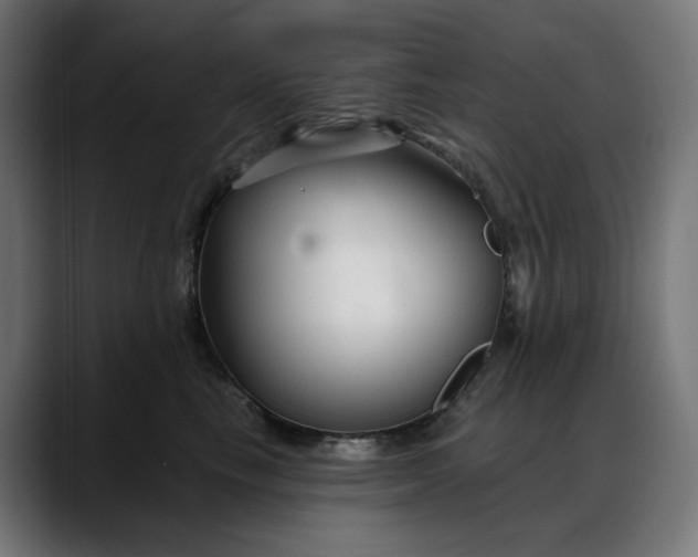 X0000088040665200705251303