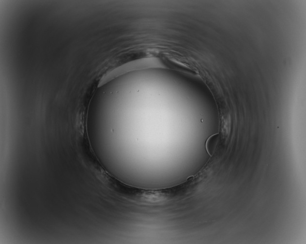 X0000088040666200705251303