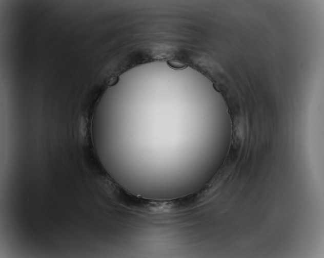 X0000088040667200705251303