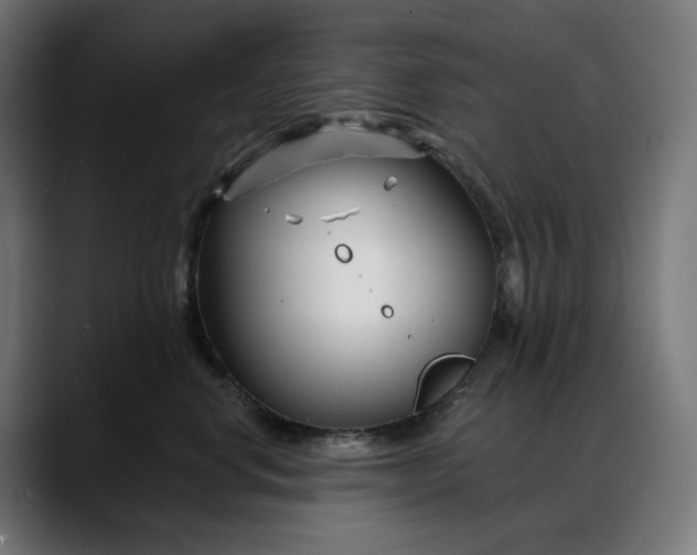 X0000088040668200705251303