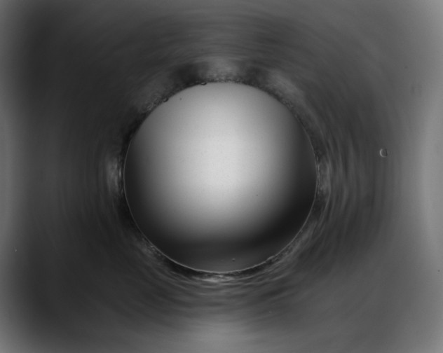 X0000088040669200705251303