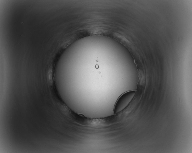 X0000088040670200705251303