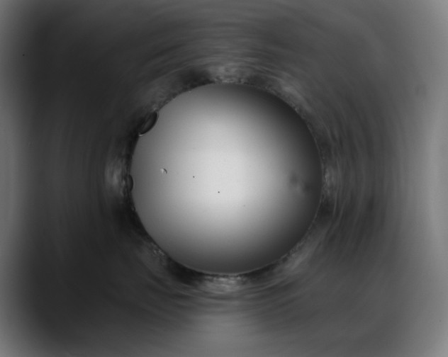 X0000088040671200705251303