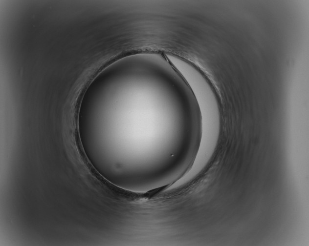 X0000088040673200705251302