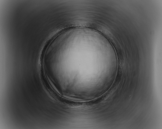 X0000088040674200705251302