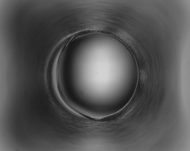 X0000088040676200705251302