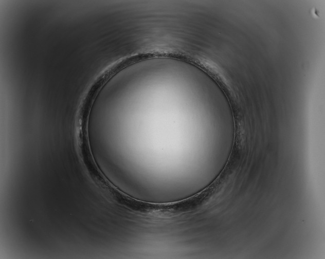 X0000088040680200705251302