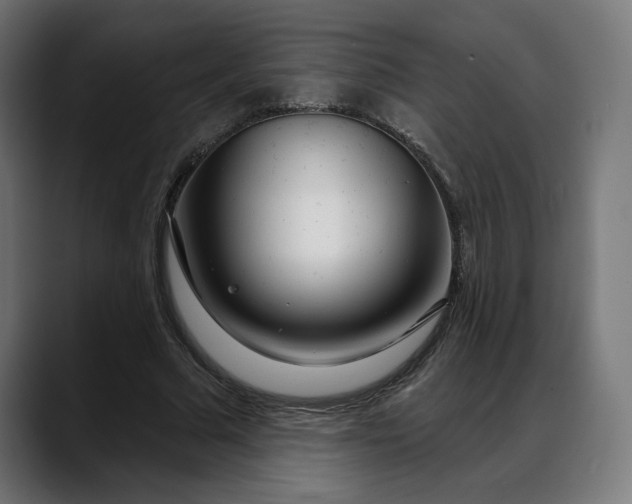 X0000088040681200705251302