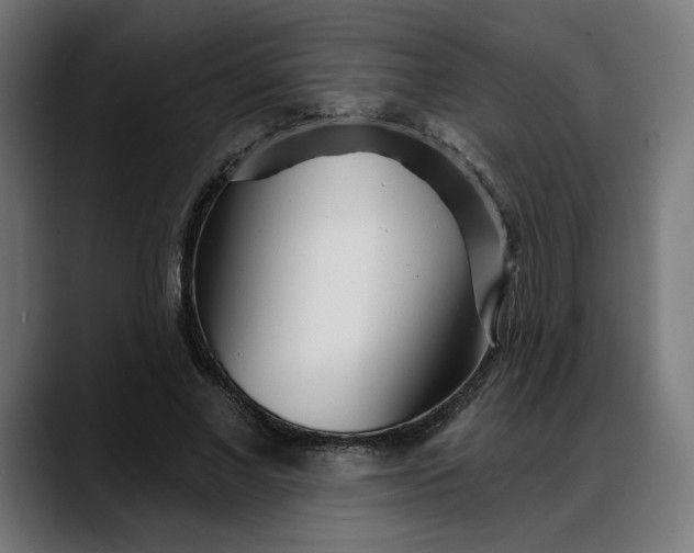 X0000088040685200705251302