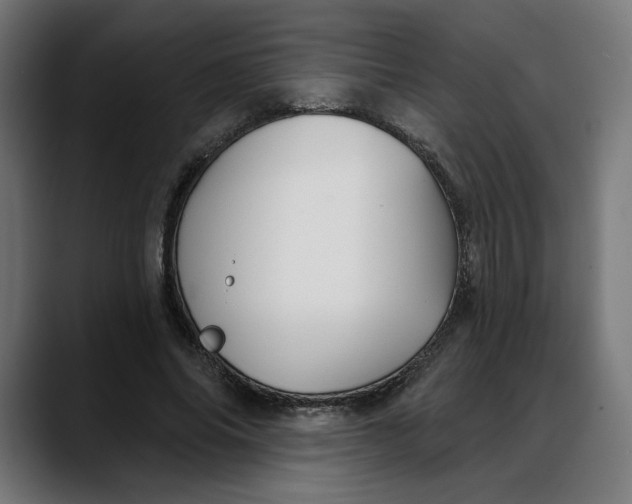 X0000088040686200705251302