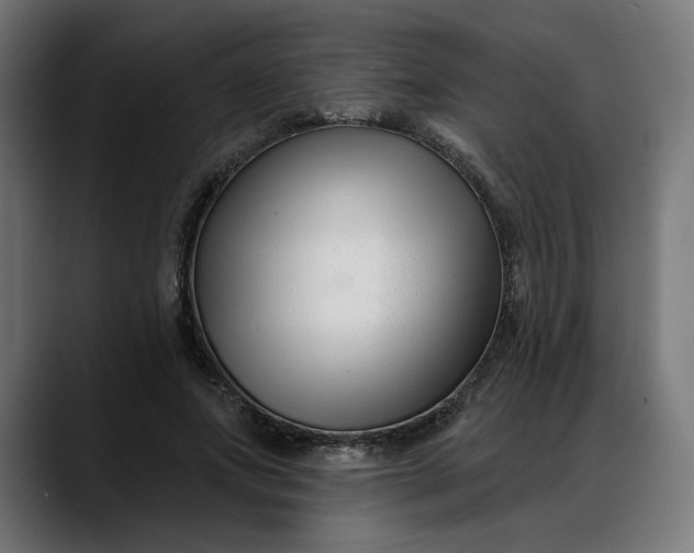 X0000088040687200705251302