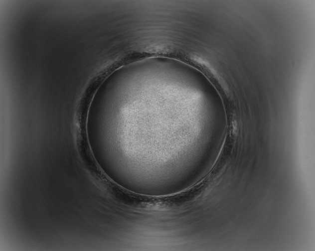 X0000088040688200705251302