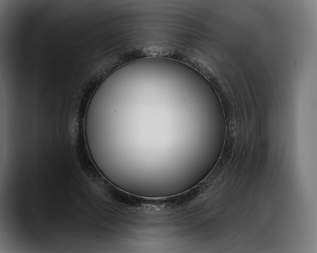 X0000088040690200705251302