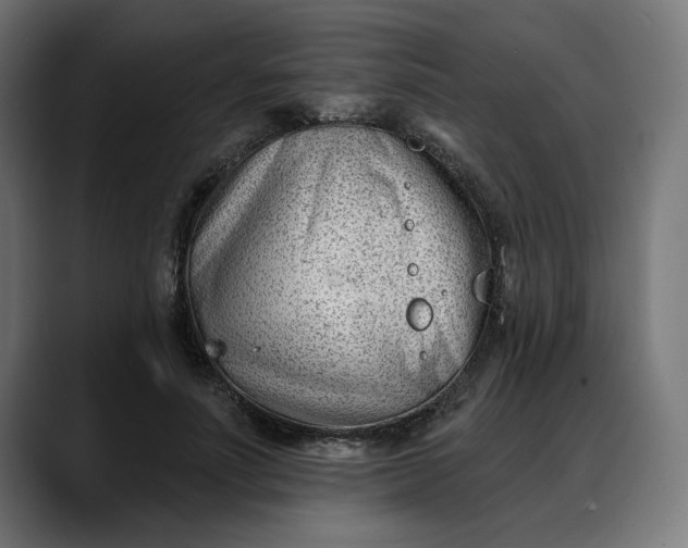 X0000088040691200705251302