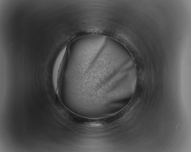 X0000088040692200705251302