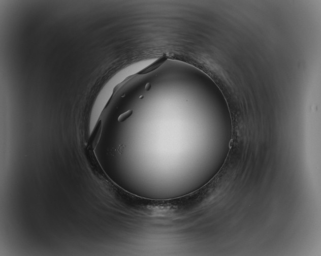 X0000088040693200705251302