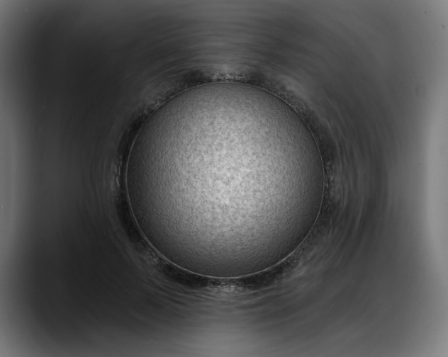 X0000088040695200705251302