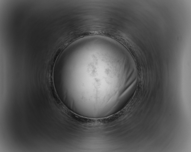 X0000088040696200705251302