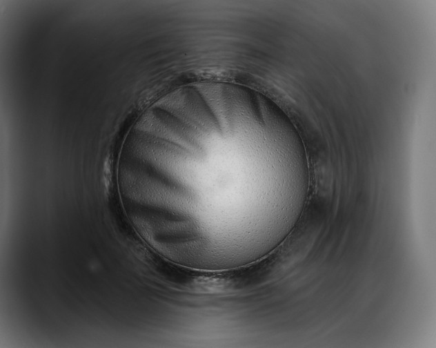 X0000088040699200705251302