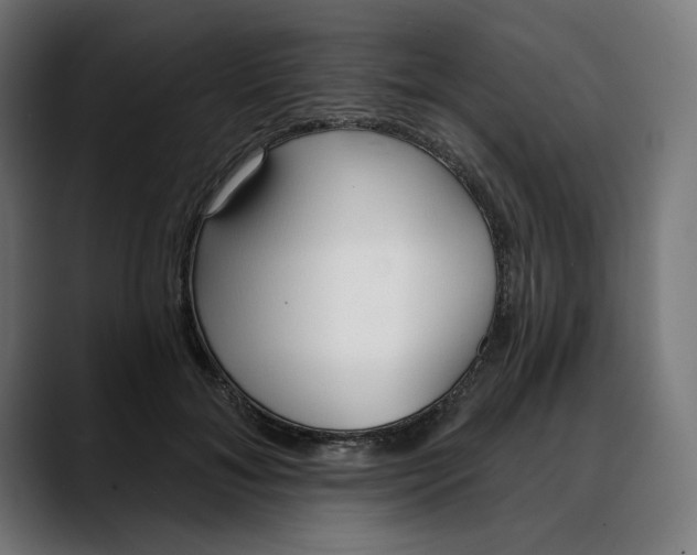 X0000088040700200705251302