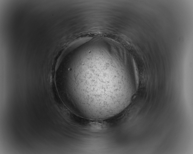 X0000088040703200705251302