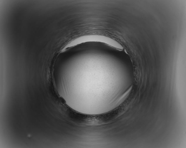 X0000088040704200705251302