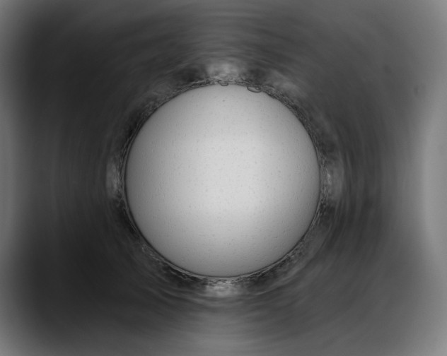 X0000088040705200705251302