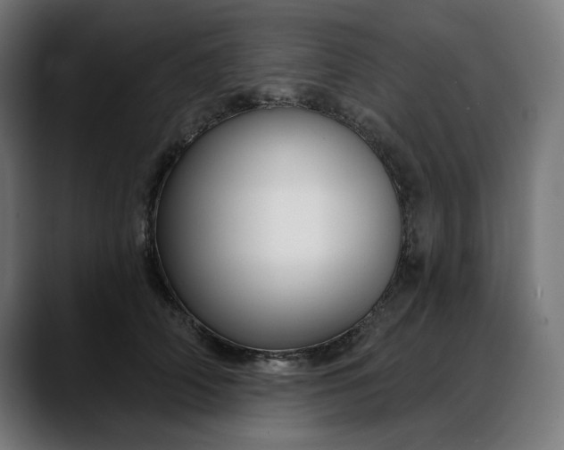 X0000088040706200705251302