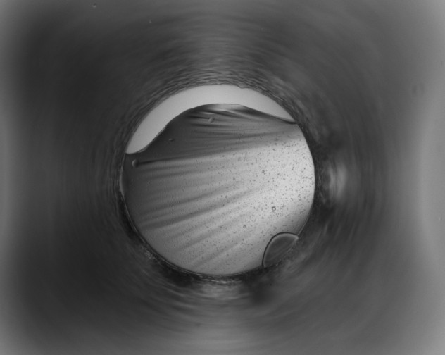 X0000088040707200705251302