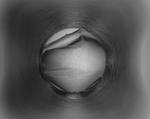 X0000088040708200705251302