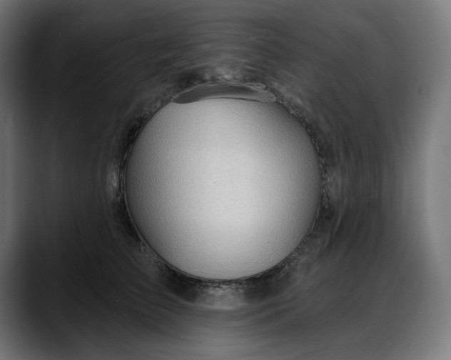 X0000088040709200705251302