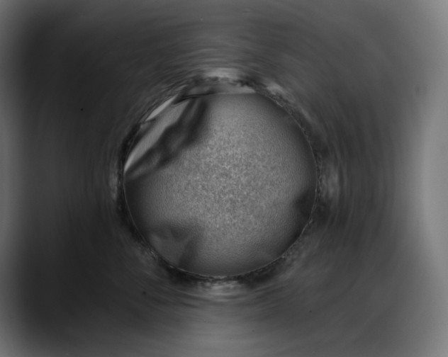 X0000088040716200705251302