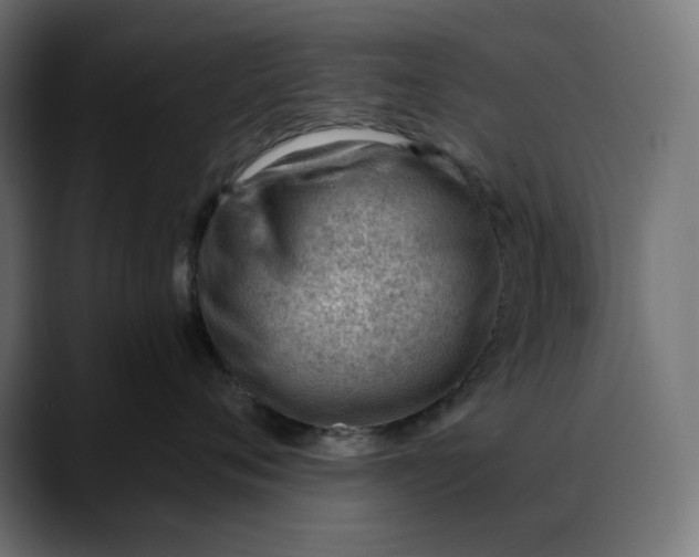 X0000088040720200705251302