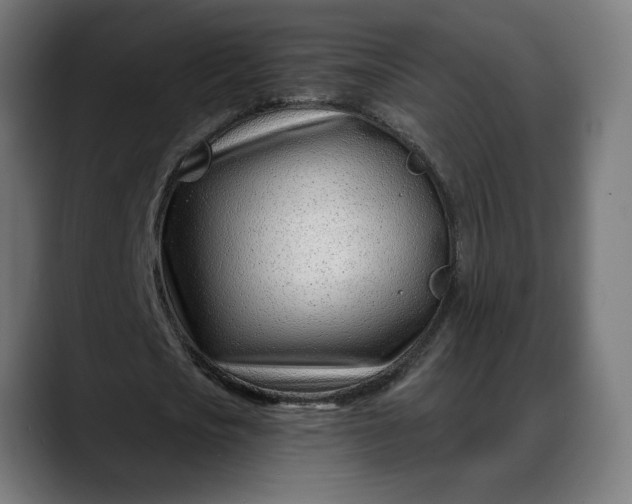 X0000088040721200705251301
