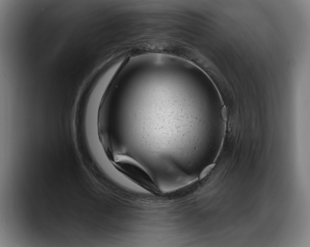 X0000088040722200705251301