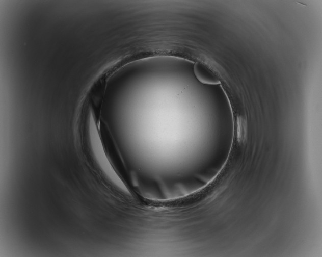 X0000088040723200705251301