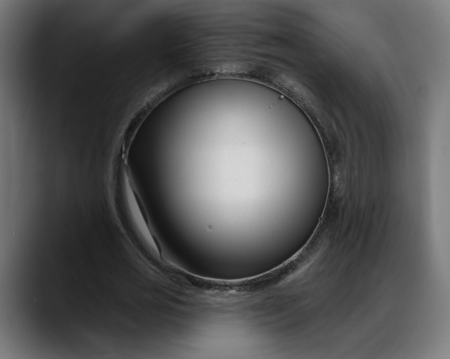 X0000088040725200705251301