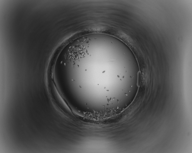 X0000088040726200705251301