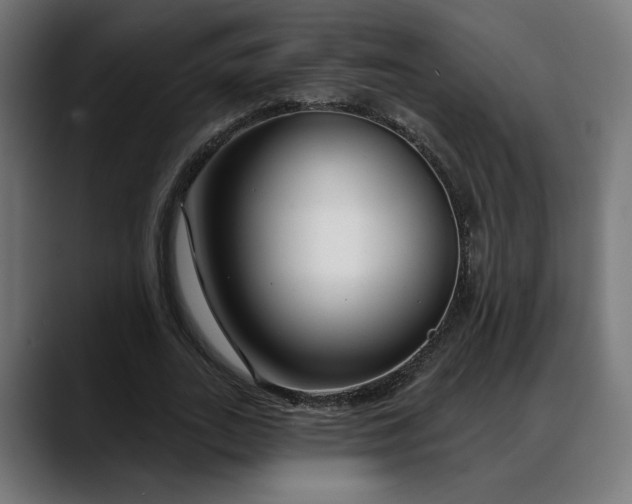 X0000088040727200705251301
