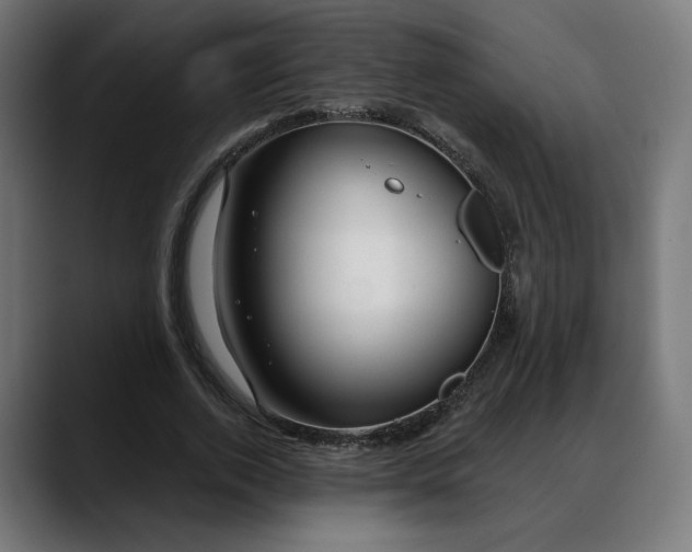 X0000088040728200705251301