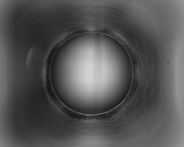 X0000088040730200705251301